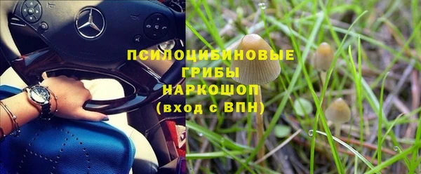 наркотики Богданович